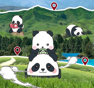 Ȥ | paӹٷվXPanda Roll ƿС